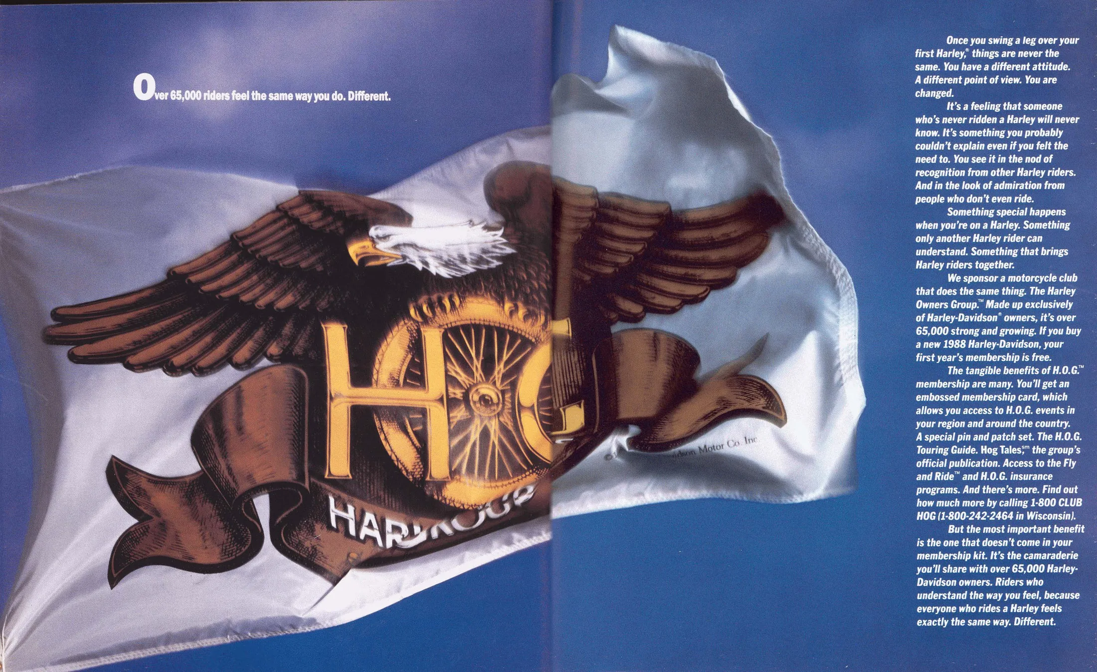 Harley Owners Group flag spread stating more than 65,000 riders, from pages 50 and 51 of the 1988 Harley-Davidson models catalog